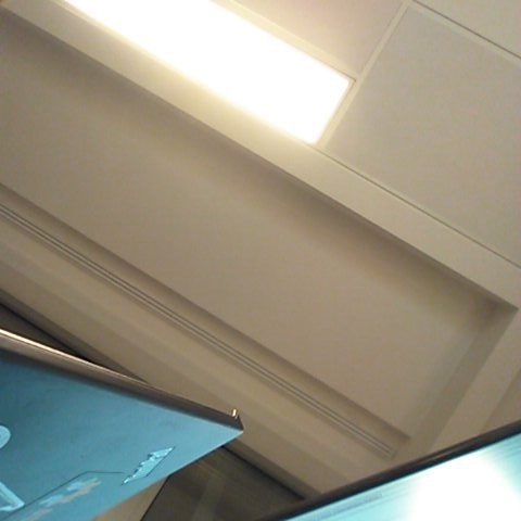 Remote snapshot of ceiling